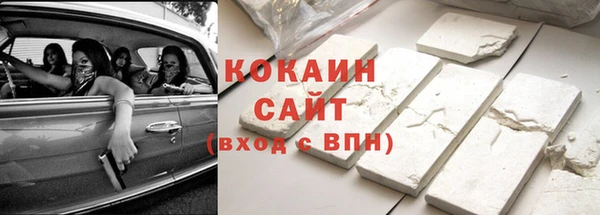 индика Вязники