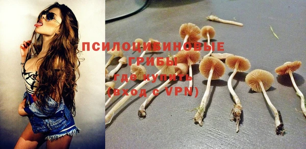 сатива Верхнеуральск