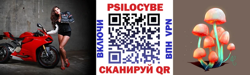 Галлюциногенные грибы Psilocybe  купить закладку  Жиздра 