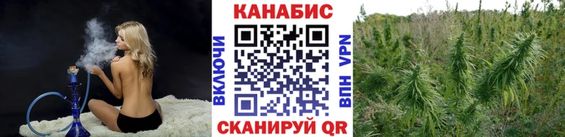 Бошки марихуана сатива  Жиздра 